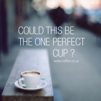403X403-COFFEE—one-perfect-cup